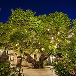 Dervish Cave House & Restaurant 3* ギョレメ