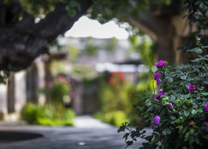 Dervish Cave House & Restaurant 3*